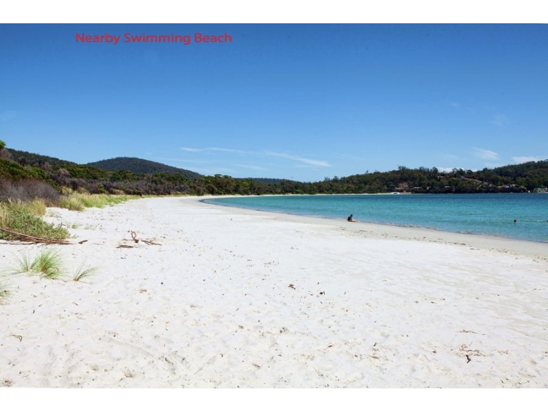 99 White Beach Road, White Beach TAS 7184