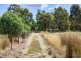 99 White Beach Road, White Beach TAS 7184