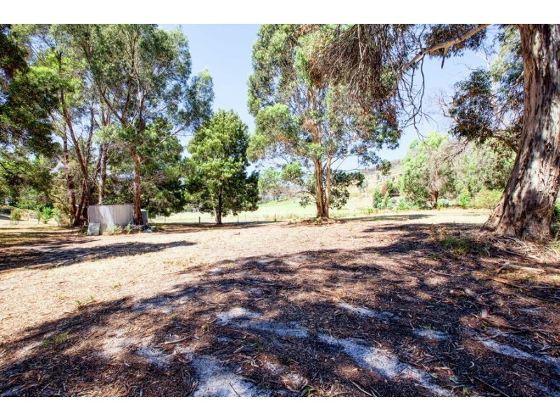 99 White Beach Road, White Beach TAS 7184