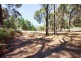 99 White Beach Road, White Beach TAS 7184