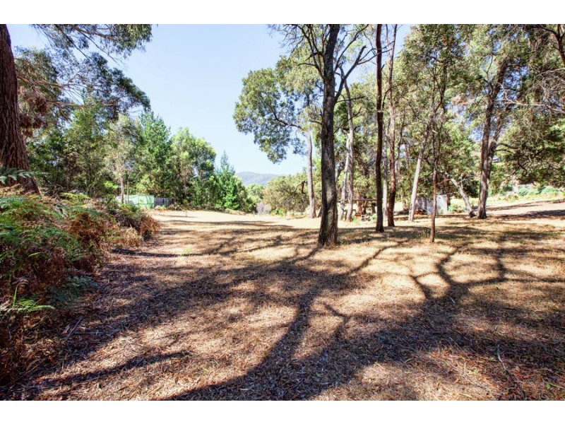 99 White Beach Road, White Beach TAS 7184