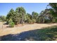 99 White Beach Road, White Beach TAS 7184