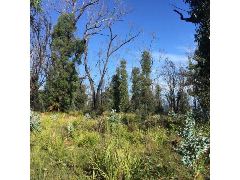 3805 Arthur Highway, Murdunna TAS 7178