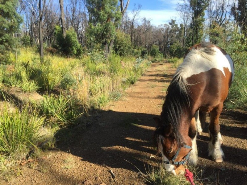 3805 Arthur Highway, Murdunna TAS 7178