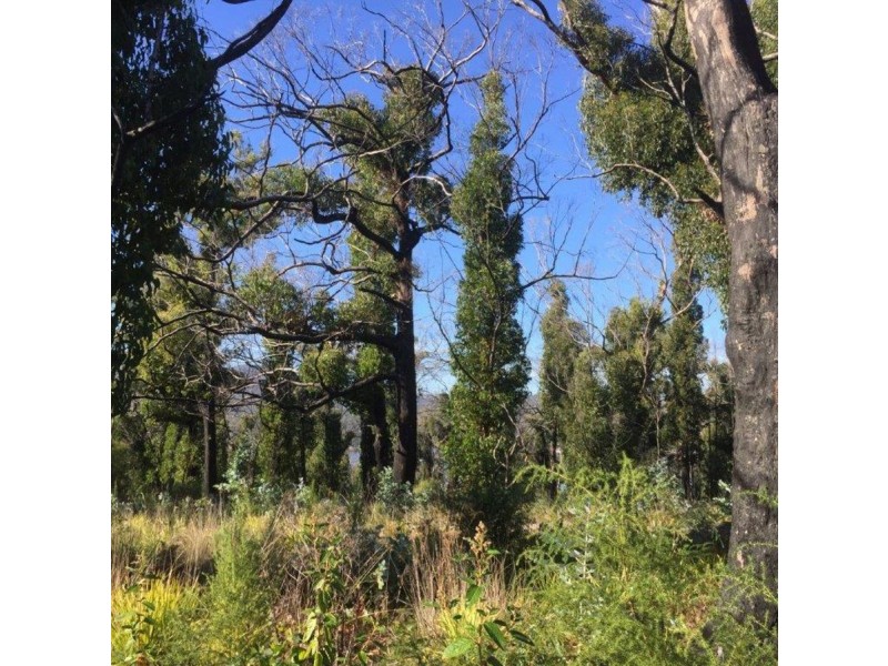 3805 Arthur Highway, Murdunna TAS 7178