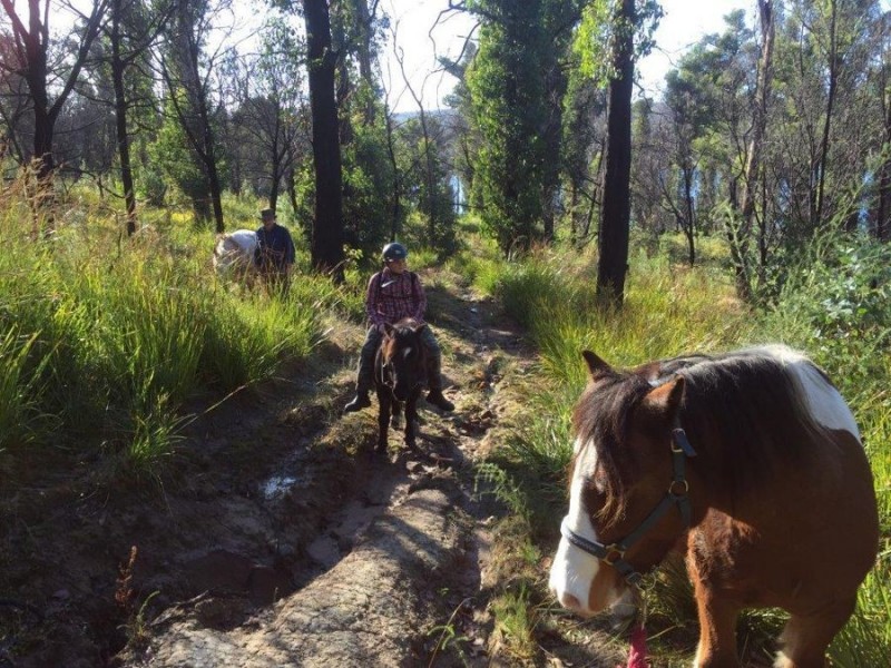 3805 Arthur Highway, Murdunna TAS 7178