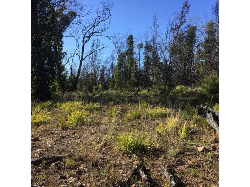 3805 Arthur Highway, Murdunna TAS 7178