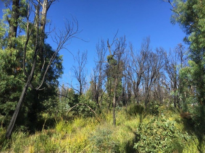 3805 Arthur Highway, Murdunna TAS 7178