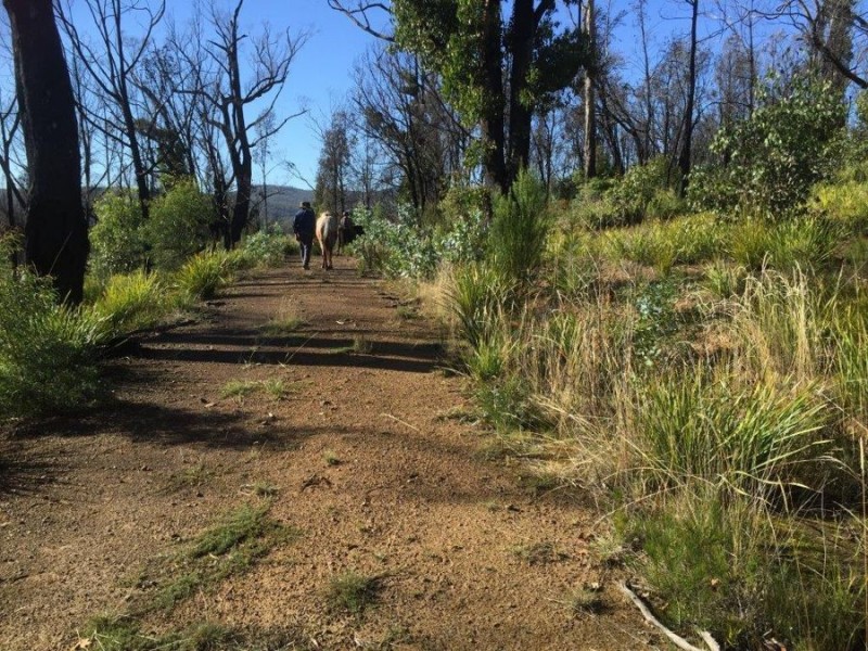 3805 Arthur Highway, Murdunna TAS 7178