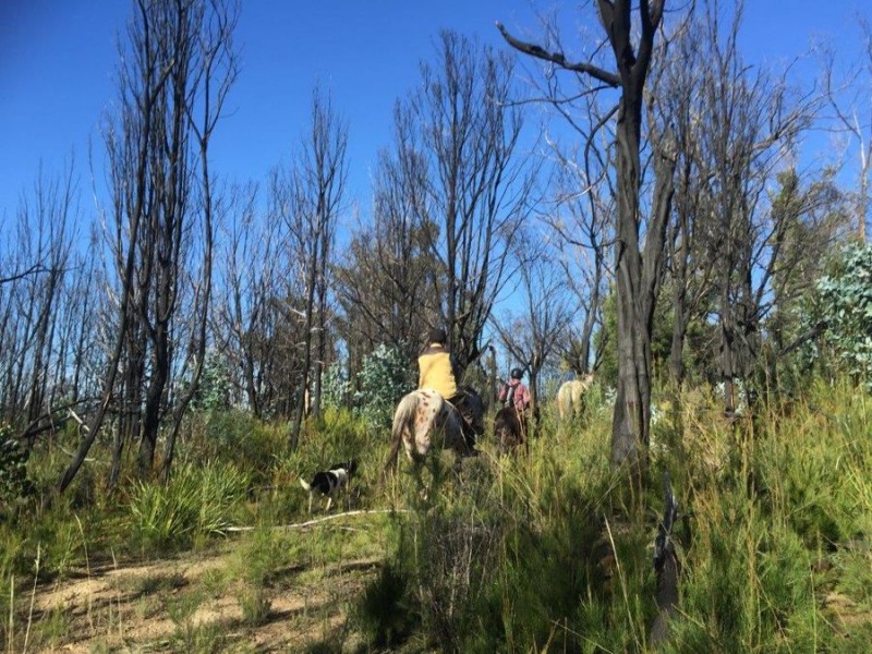 3805 Arthur Highway, Murdunna TAS 7178