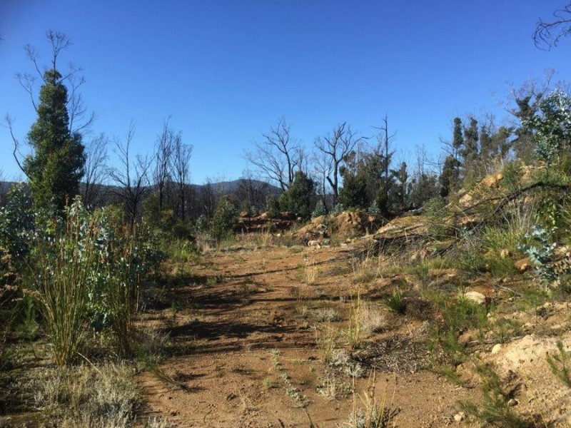 3805 Arthur Highway, Murdunna TAS 7178