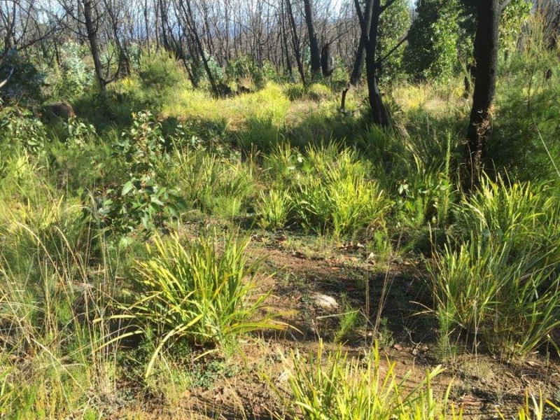 3805 Arthur Highway, Murdunna TAS 7178