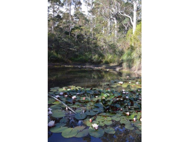 54 Old Jetty Road, Eaglehawk Neck TAS 7179