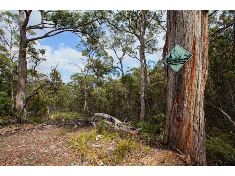 54 Old Jetty Road, Eaglehawk Neck TAS 7179