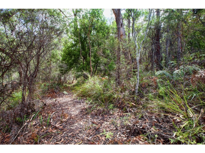 54 Old Jetty Road, Eaglehawk Neck TAS 7179