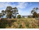 11 Boobyalla Street, Primrose Sands TAS 7173