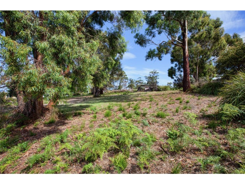 11 Boobyalla Street, Primrose Sands TAS 7173