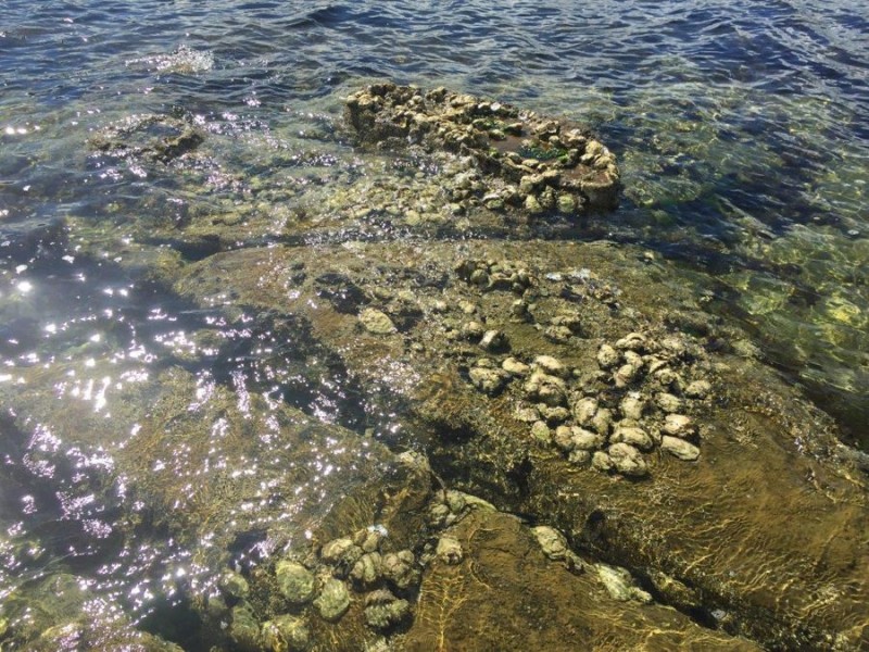 Lot 1 Apex Point Road, White Beach TAS 7184