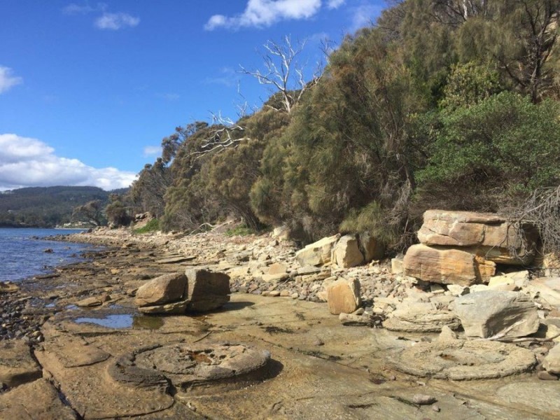 Lot 1 Apex Point Road, White Beach TAS 7184