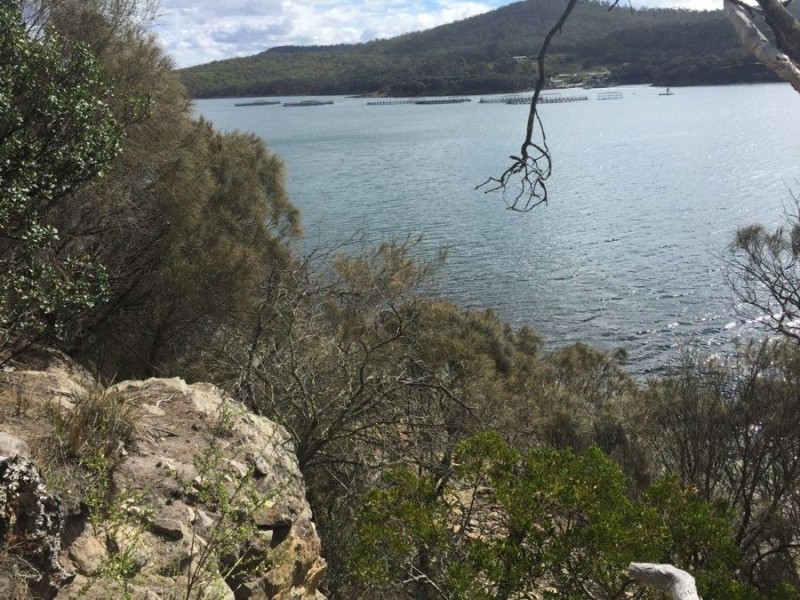 Lot 1 Apex Point Road, White Beach TAS 7184