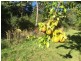 Lot 2 Nubeena Road, Nubeena TAS 7184