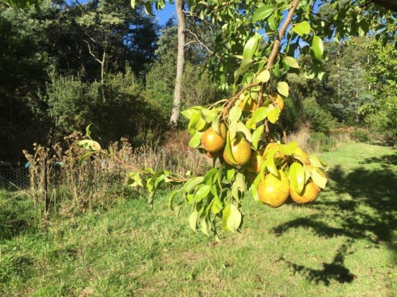 Lot 2 Nubeena Road, Nubeena TAS 7184