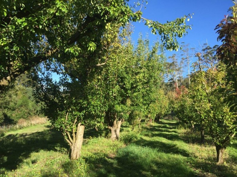 Lot 2 Nubeena Road, Nubeena TAS 7184