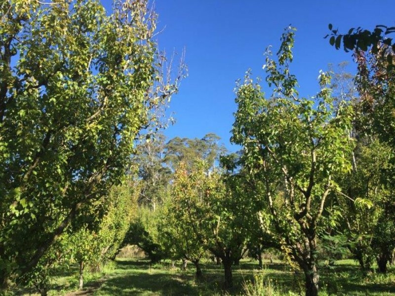 Lot 2 Nubeena Road, Nubeena TAS 7184