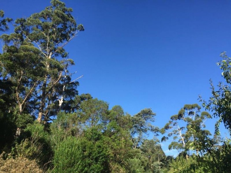 Lot 2 Nubeena Road, Nubeena TAS 7184