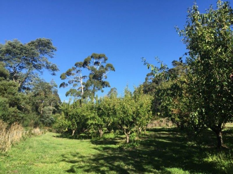 Lot 2 Nubeena Road, Nubeena TAS 7184