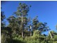 Lot 2 Nubeena Road, Nubeena TAS 7184