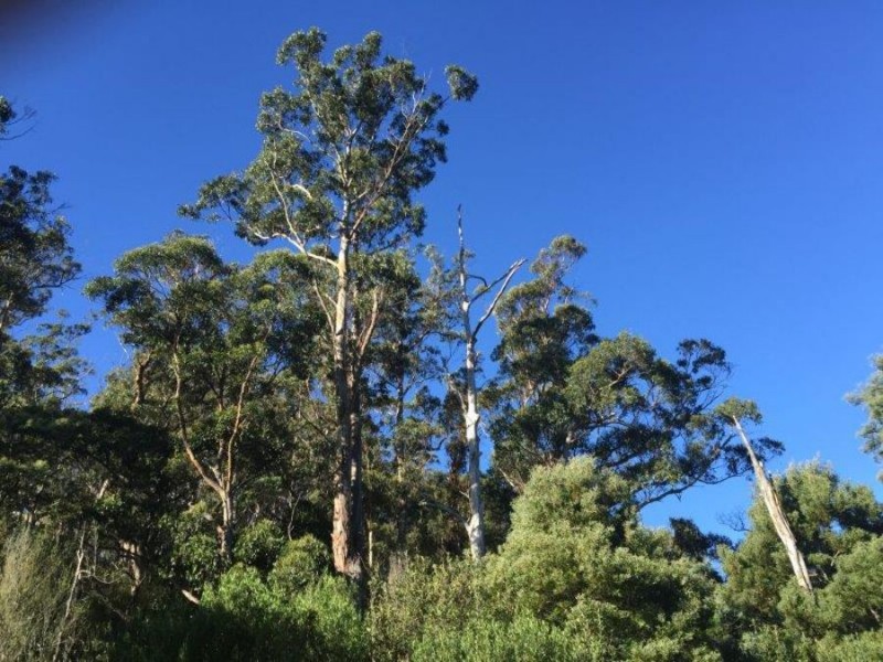 Lot 2 Nubeena Road, Nubeena TAS 7184