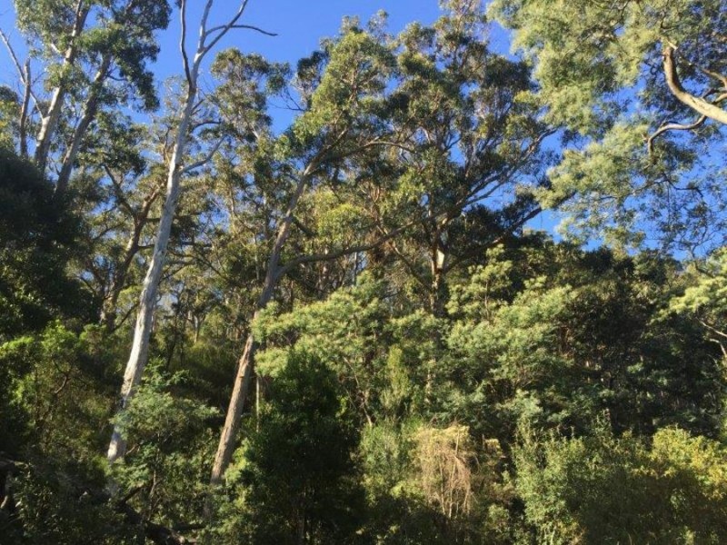 Lot 2 Nubeena Road, Nubeena TAS 7184