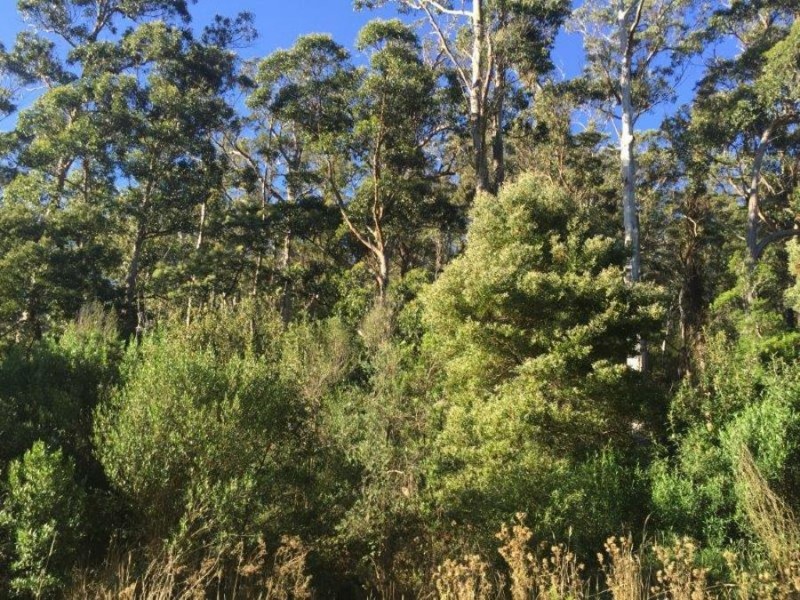 Lot 2 Nubeena Road, Nubeena TAS 7184