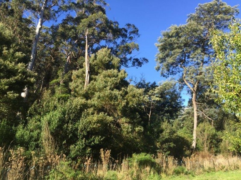 Lot 2 Nubeena Road, Nubeena TAS 7184
