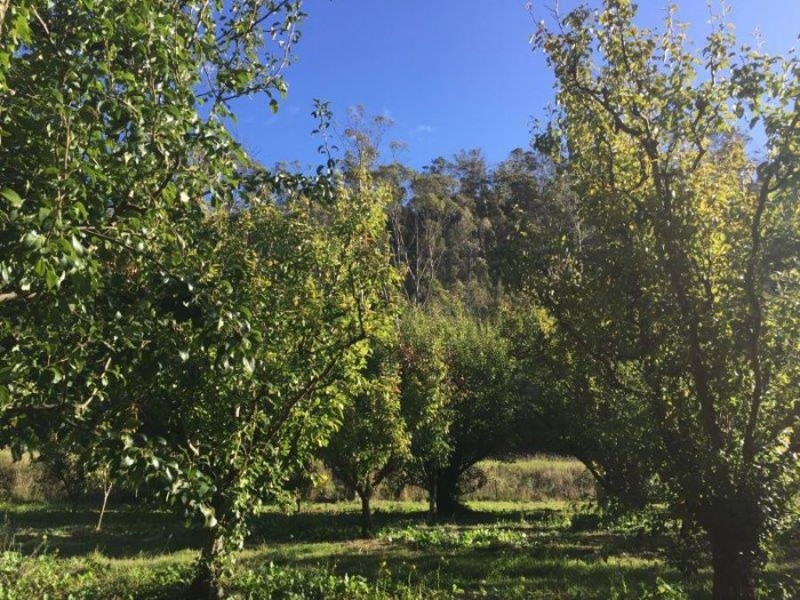 Lot 2 Nubeena Road, Nubeena TAS 7184