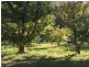 Lot 2 Nubeena Road, Nubeena TAS 7184