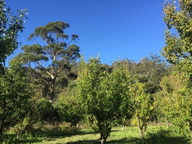 Lot 2 Nubeena Road, Nubeena TAS 7184