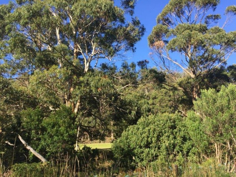 Lot 2 Nubeena Road, Nubeena TAS 7184