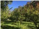 Lot 2 Nubeena Road, Nubeena TAS 7184