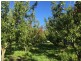 Lot 2 Nubeena Road, Nubeena TAS 7184