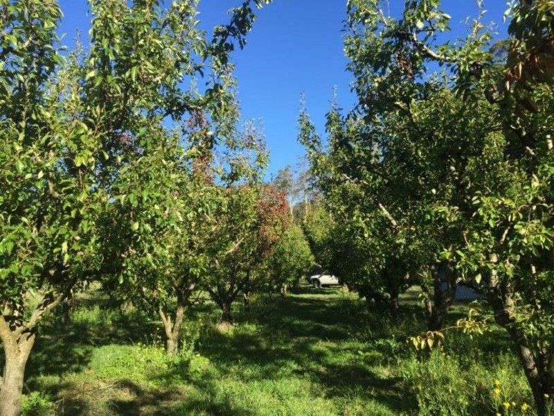 Lot 2 Nubeena Road, Nubeena TAS 7184