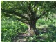 Lot 2 Nubeena Road, Nubeena TAS 7184