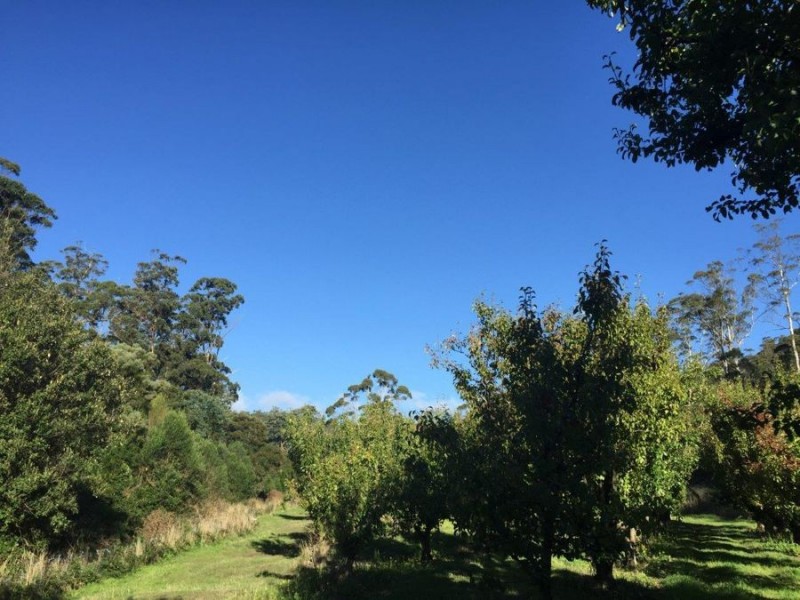 Lot 2 Nubeena Road, Nubeena TAS 7184
