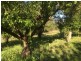 Lot 2 Nubeena Road, Nubeena TAS 7184
