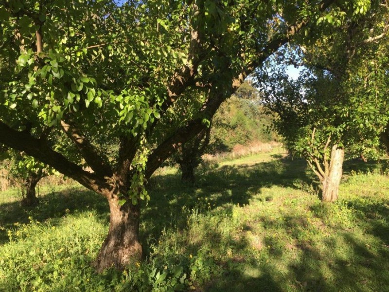 Lot 2 Nubeena Road, Nubeena TAS 7184