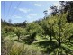 Lot 2 Nubeena Road, Nubeena TAS 7184