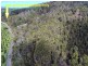 1936 Nubeena Road, Nubeena TAS 7184