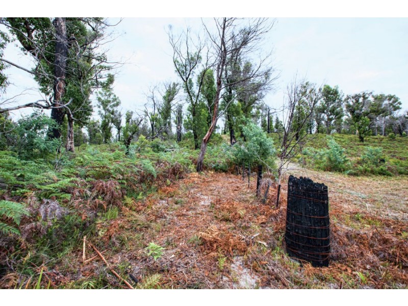 Lot 1 Hawker Street South, Murdunna TAS 7178
