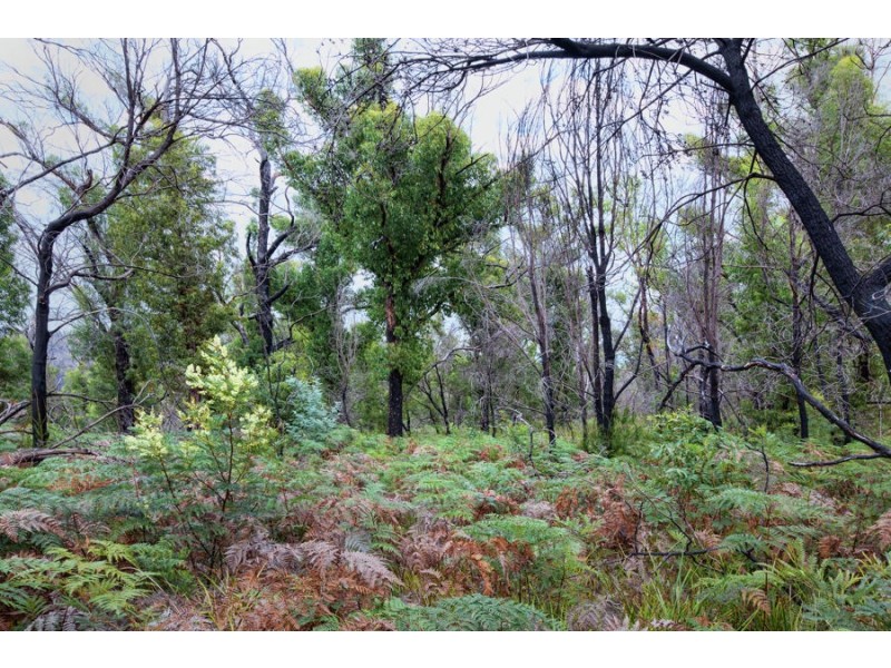 Lot 1 Hawker Street South, Murdunna TAS 7178